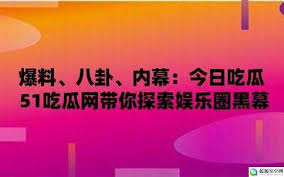 年正式出道